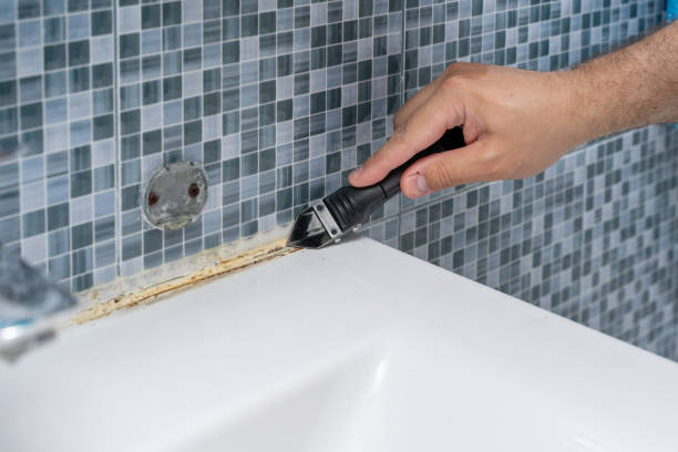 Best Health and Safety Mold Remediation in Landrum, SC